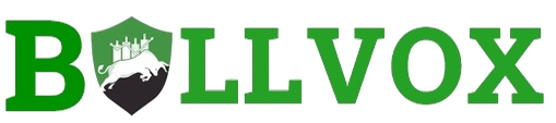 Bullvox Logo